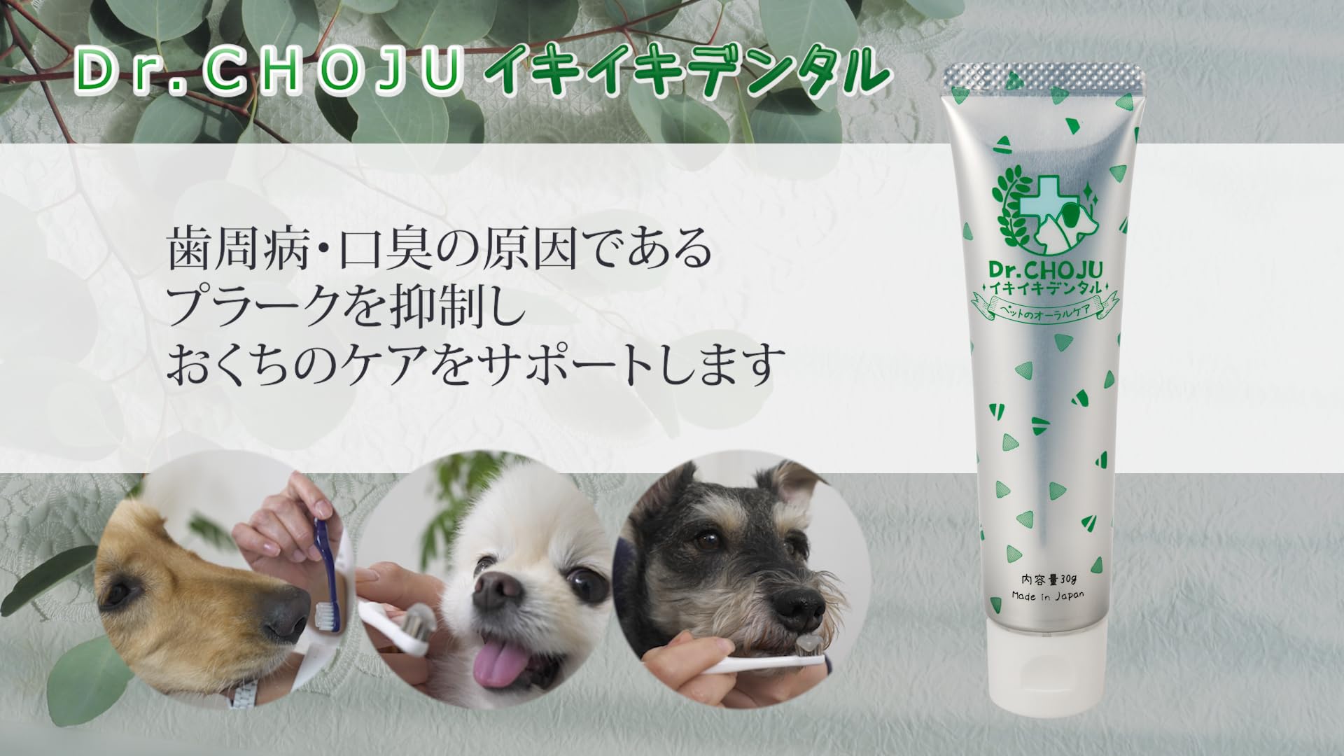 Amazon.co.jp: Dr.CHOJU イキイキデンタル ～長寿応援はみがき～ 犬猫
