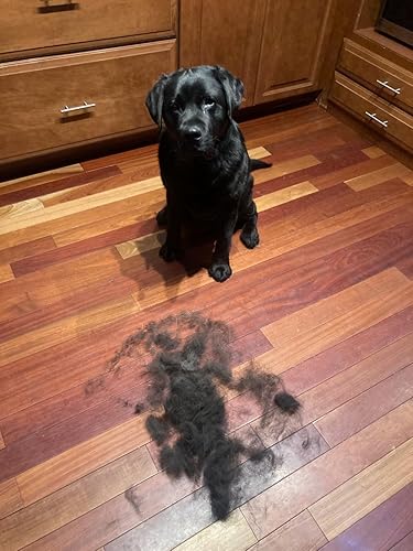 Deshedding Dog Brush for Short/Medium Hair (Medium,Red) — side view showing full product dimensions