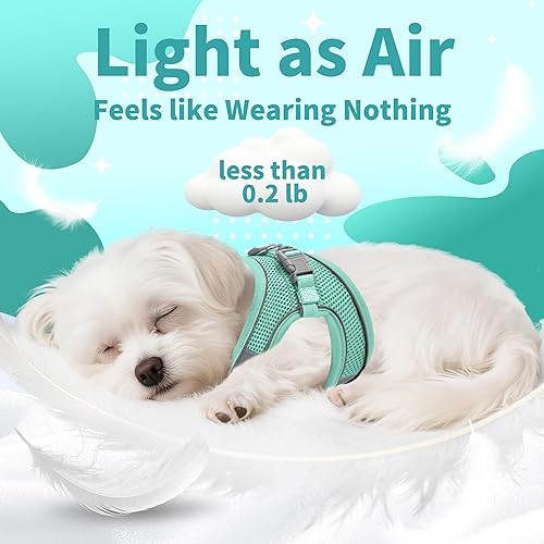 Miniatura 160 de AIITLE Arnés Escalonado para Perro y Juego de Correa - Chaleco Arnés a Prueba de Escape Sin Tirones con Malla Suave y Bandas Reflectantes, Arneses