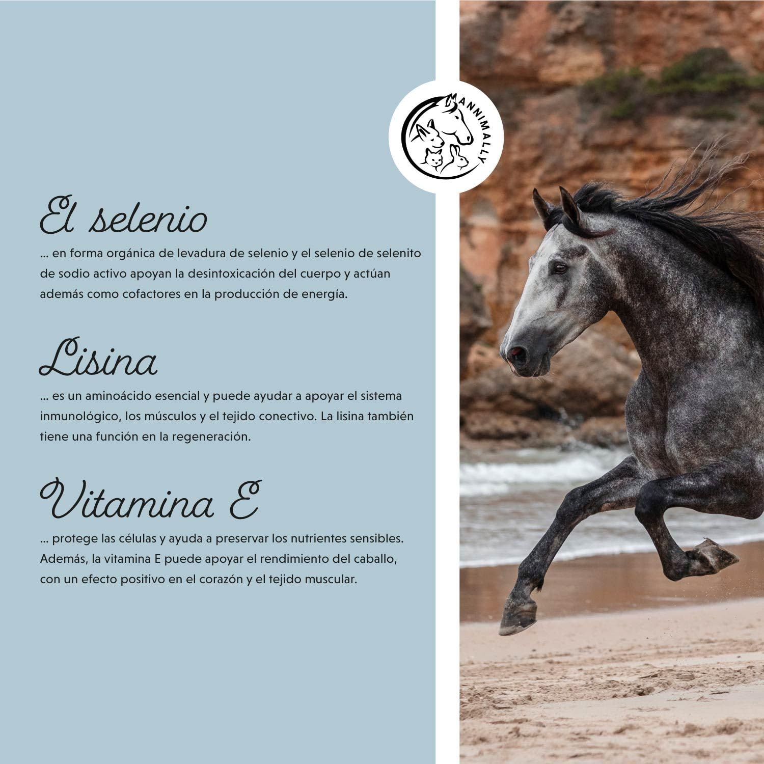 Annimally Selenio, Vitamina E, L-Lisina en Polvo para Caballos 800g - Complejo de Vitamina E, L-Lisina y Selenio para apoyar la Musculatura y el Rendimiento - Suplemento alimenticio para Caballos