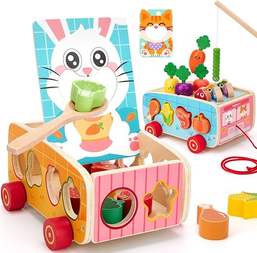 hahaland Juguetes Montessori 1 Año de Madera, 5 en 1 Actividades Educativas | Clasificación de Formas, Pesca Magnética y Juego de Alimentación, Cosecha de zanahorias, Regalo Bebé 1-3 Años
