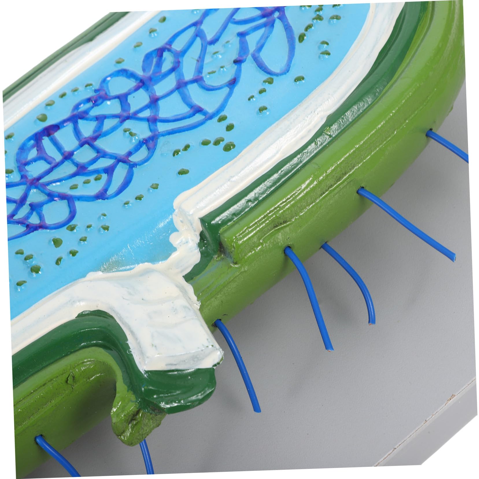 Zellkernmodell für Biologieunterricht Detaillierte Zellstruktur mit Organellen Robustes Anatomisches Lehrmodell für Schüler und Wissenschaftsklassenräume
