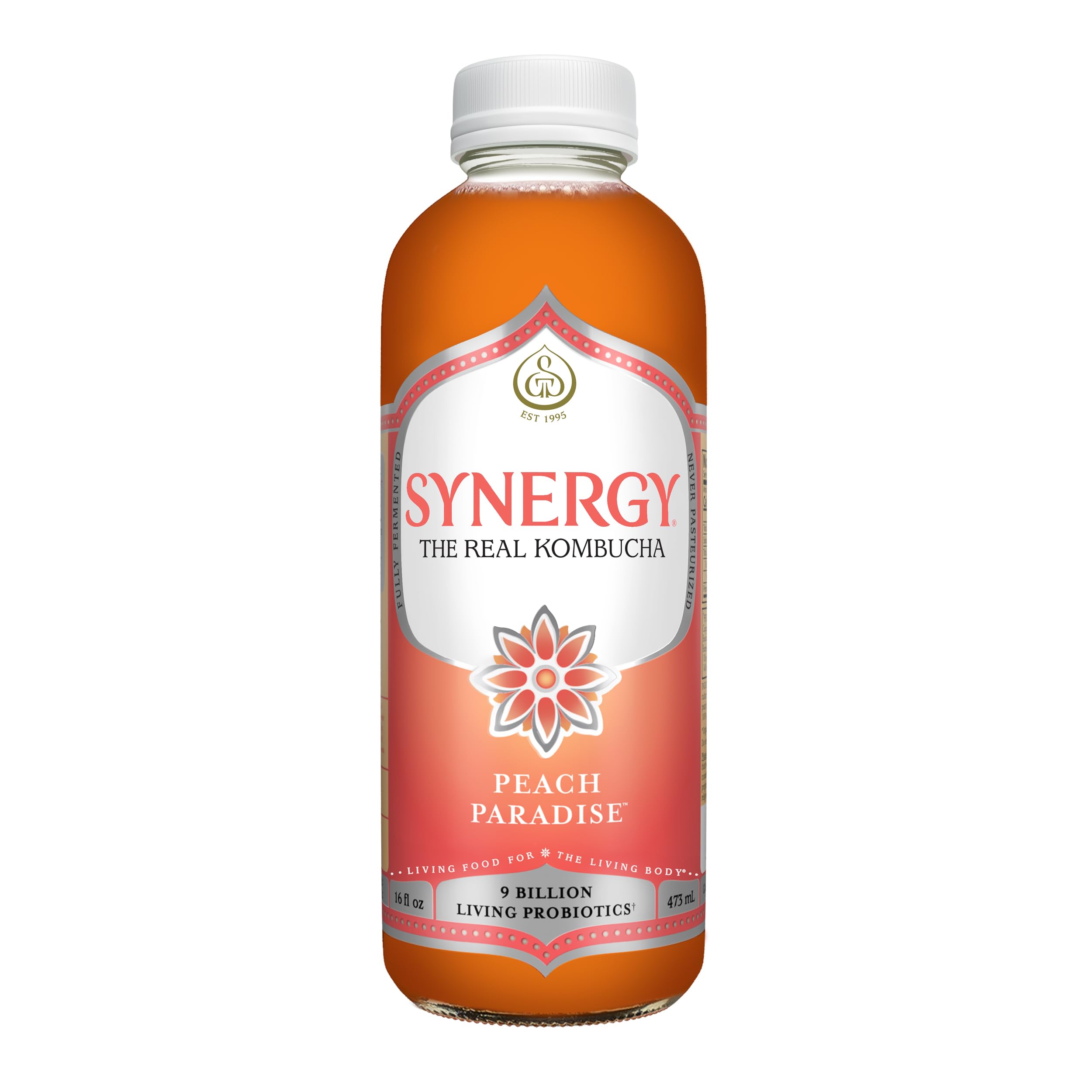 Amazon.com: SYNERGY The Real Kombucha - Peach Paradise - 16 fl oz