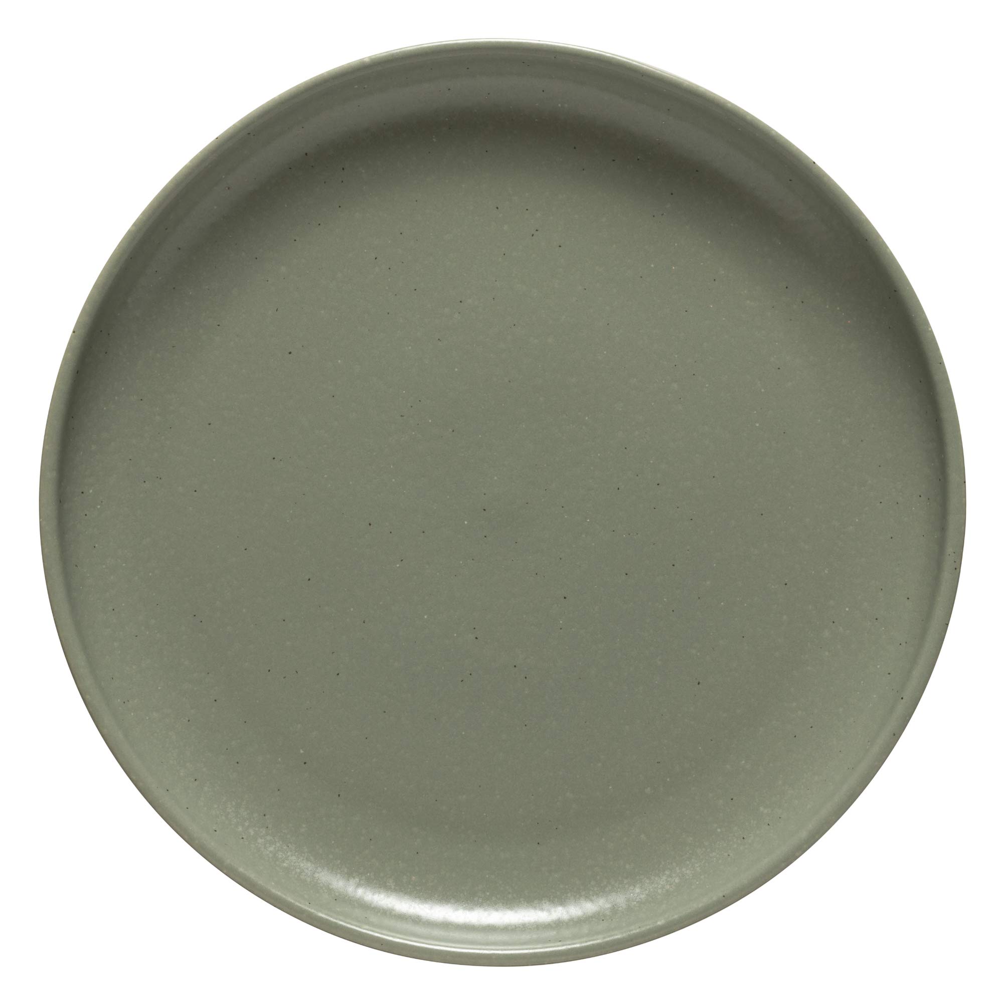 Amazon.com | Casafina Ceramic Stoneware 11'' Dinner Plate