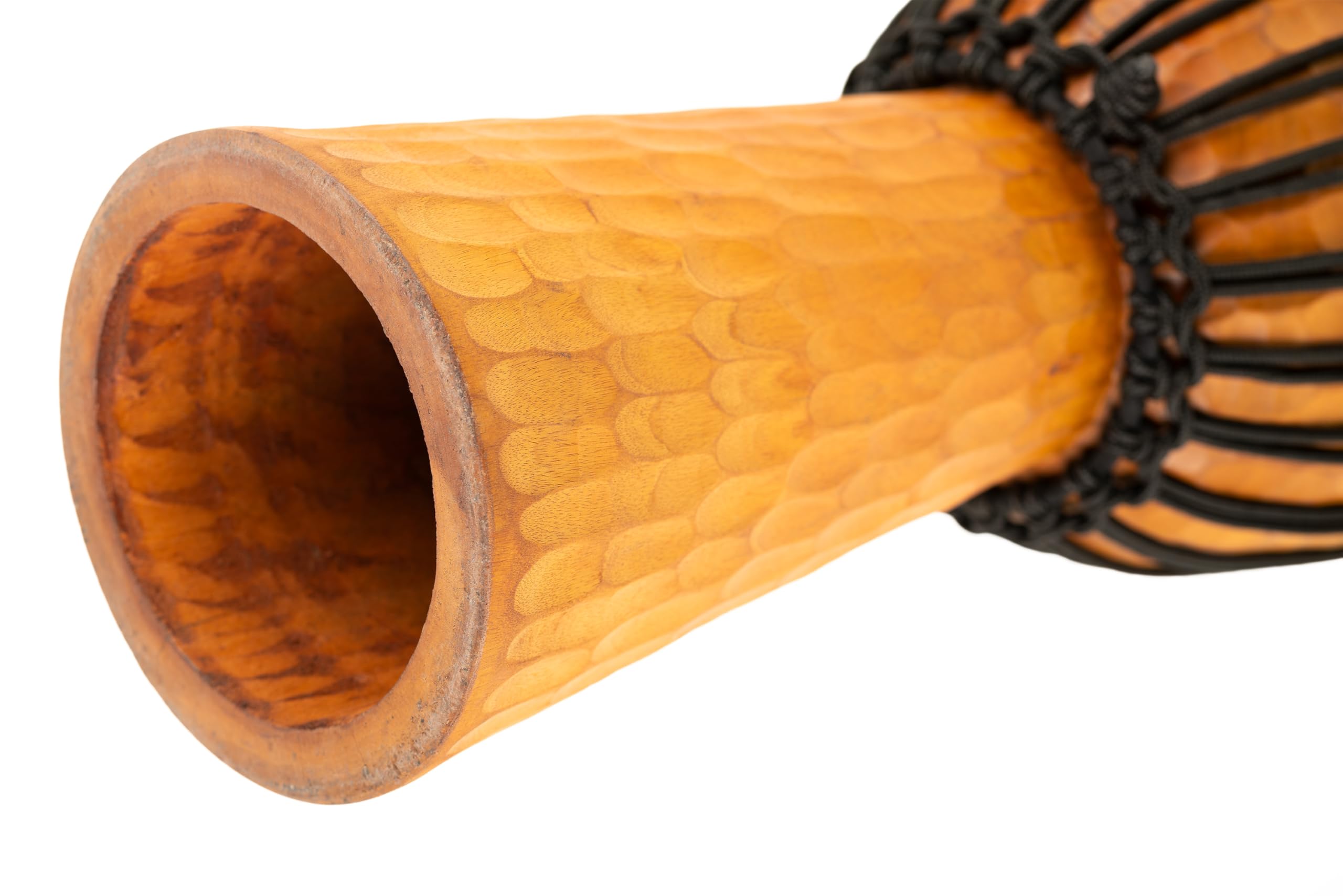 Amazon.co.jp: MEINL Percussion マイネル ジャンベ Nile Series