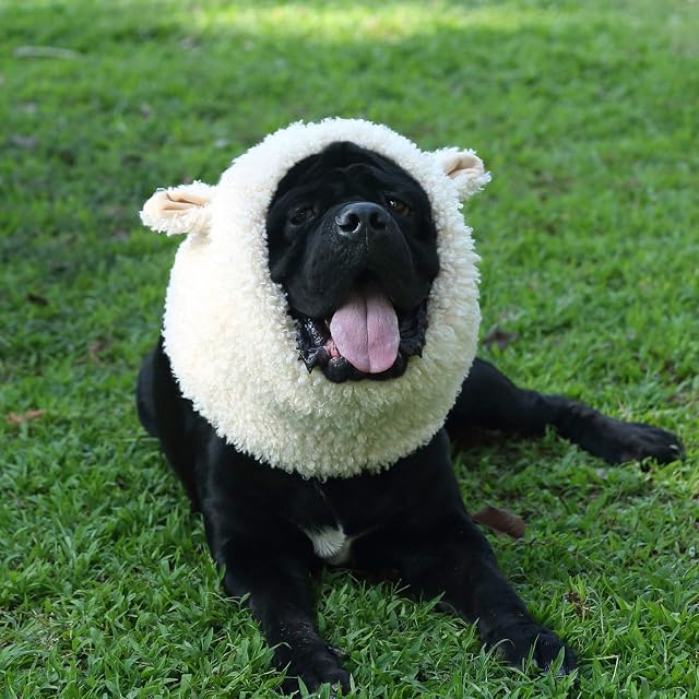 Foto 5 de 7 de Onmygogo Divertido disfraz de Reideer para mascotas para perro