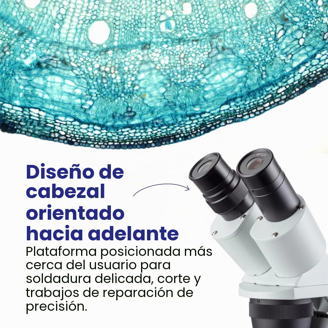 AmScope - Microscopio estéreo inalámbrico LED para iluminación Superior e Inferior 20X-40X.