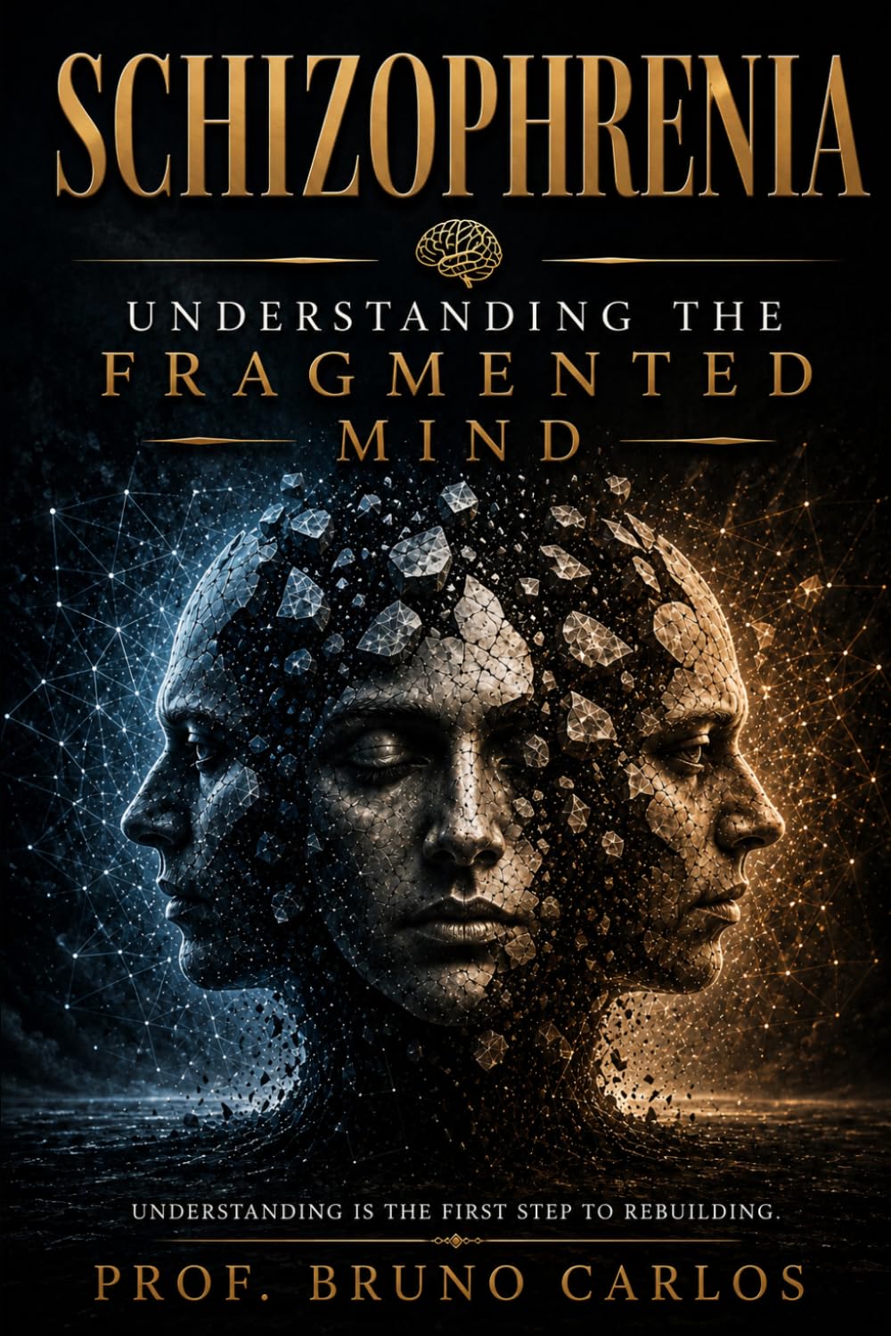Schizophrenia: Understanding the Fragmented Mind.