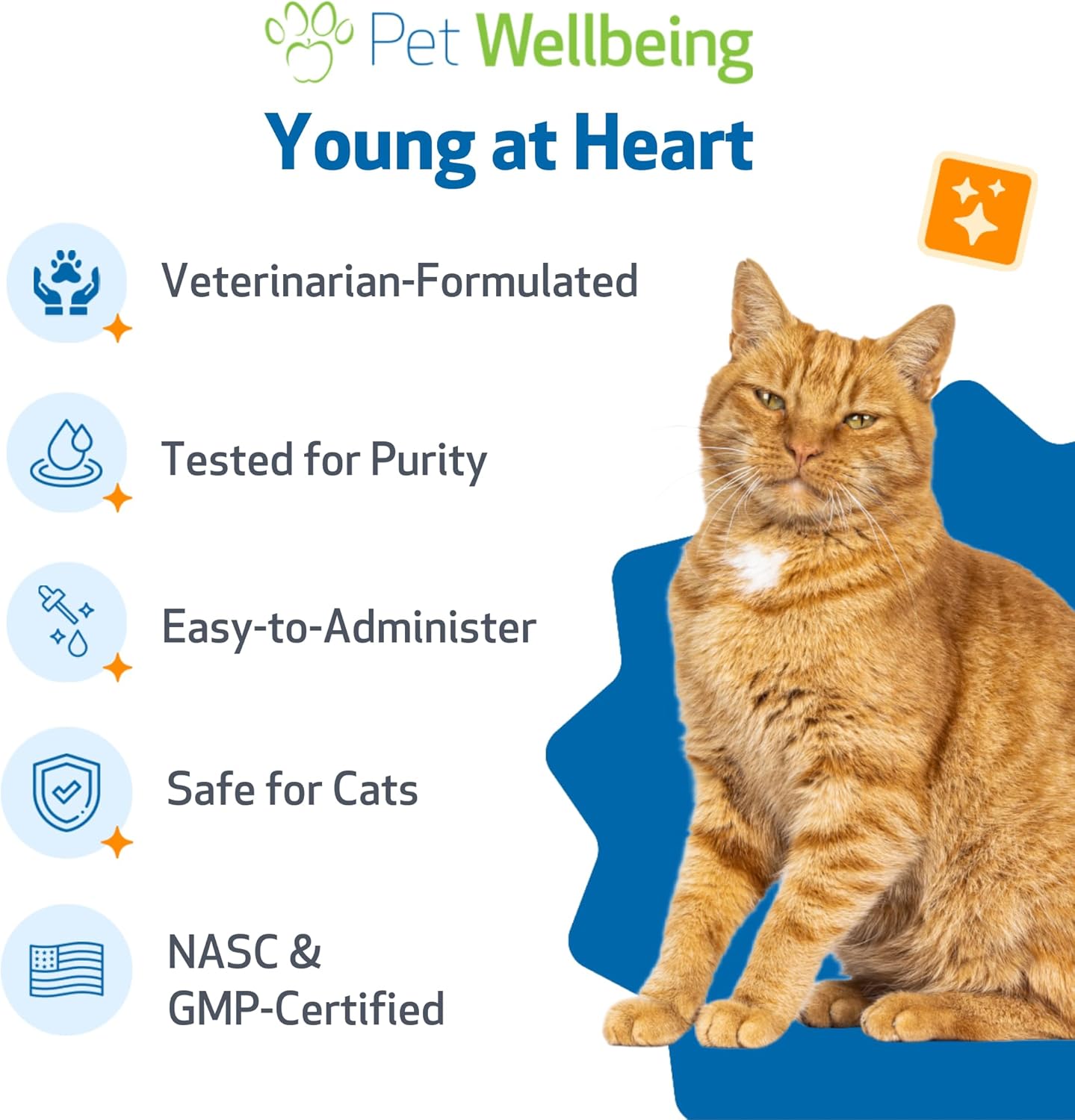 Pet Wellbeing Young at Heart for Cats - Senior Feline Heart Health Support, Cardiovascular Wellness with Hawthorn & Motherwort - NASC Certified & Vet-Formulated - 2 oz Liquid Formula
