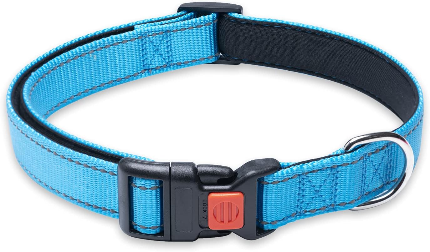 Reflective Dog Collar with Buckle Adjustable Safety Nylon Collars for Small Medium Large Dogs, Blue S : Pet Supplies