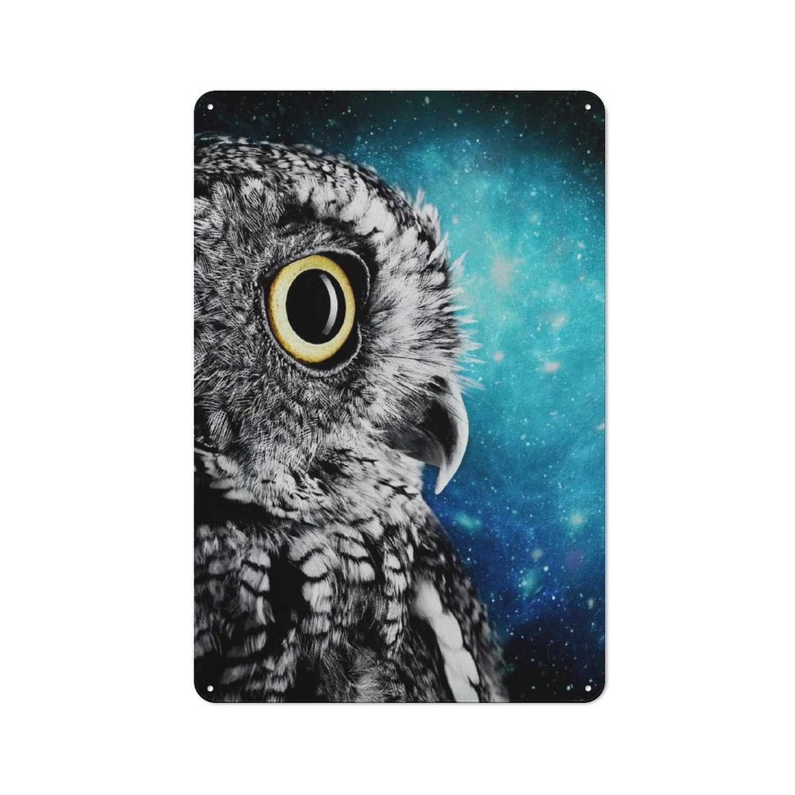 Junmoney Style Owl Galaxy Printed Metal Sign 30X20cm For Studio Or Craft Room, A New Home Present For Creative-Space Collectors