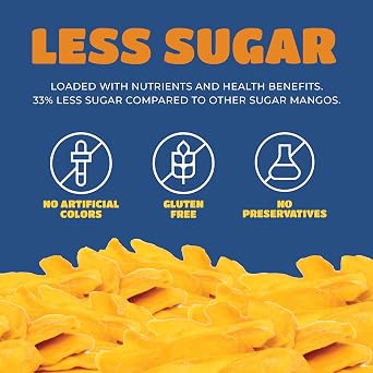 Paradise Valley Dried Mango Slices Low Sugar Gluten Free 8 oz
