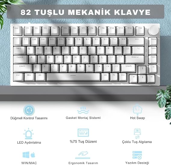 Coverzone Beyaz Işıklı Hot Swap Kablolu Mekanik Oyun Klavyesi | Ajazz AK820 Beyaz - Mavi Switch