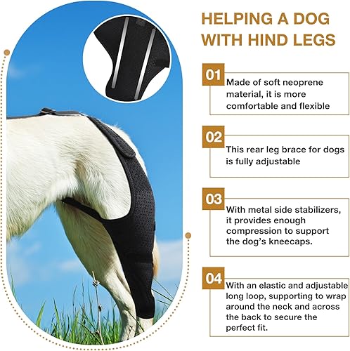 Miniatura 2 de Rodillera para perro  Dislocación de rodillera para ACL, CCL, lesión de ligamento cruzado, dolor articular y dolor muscular, soporte ajustable para