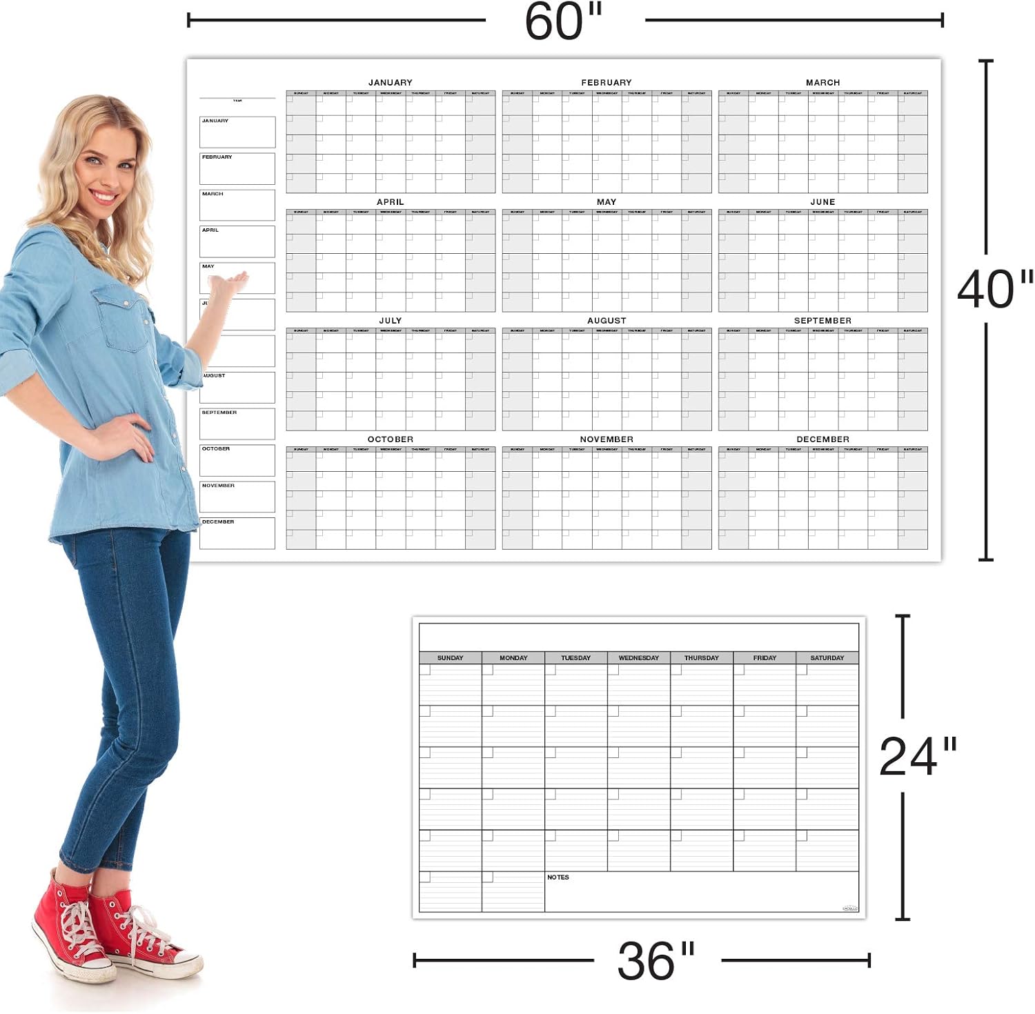 Global Printed Products 40x60 Giant Yearly and 24x36 Large Monthly Dry Erase Laminated Wall Undated Calendars Planner for Office Classroom Home Task Organizer White