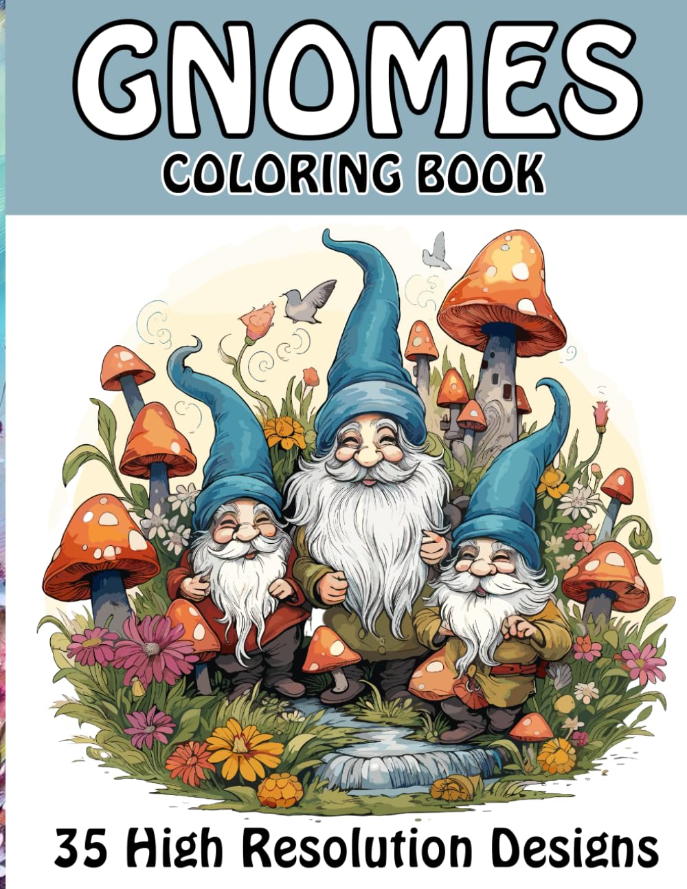 Amazon.com: Gnome Coloring Book for Adults and Teenagers: High ...