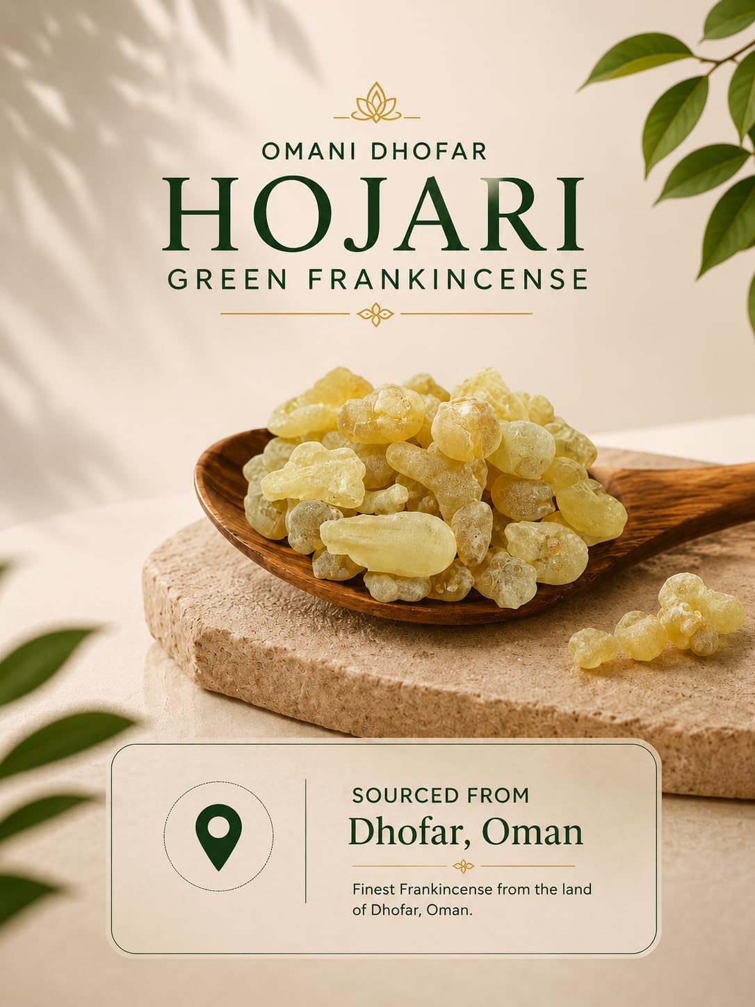 Green Hojari Frankincense Resin - Omani Boswellia Sacra Luban - Premium 100% Natural Luban from Salalah Dhofar Oman 1 oz - ZaforaSouq