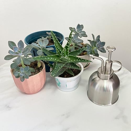 Miniatura 4 de Plant Mister - Botella pulverizadora de acero inoxidable para plantas, regadera pequeña, botella rociadora de plantas, herramientas modernas de