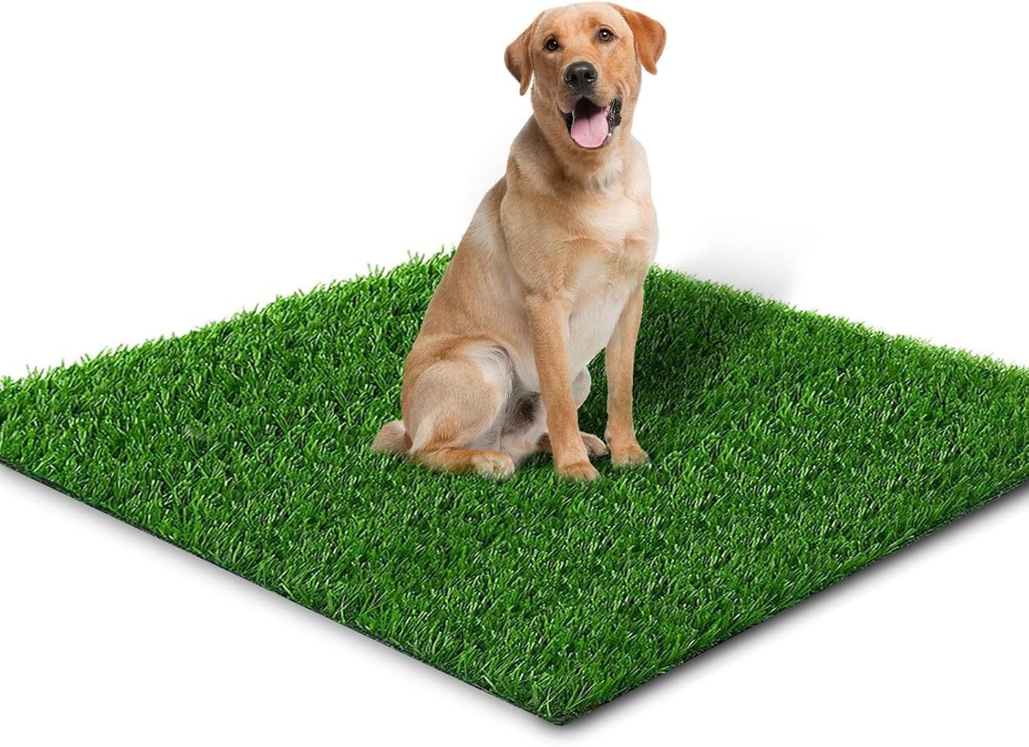 Embellbatt 51in X 31.5in Artificial Grass for Dogs Pee Grass Pads Dog Potty Grass