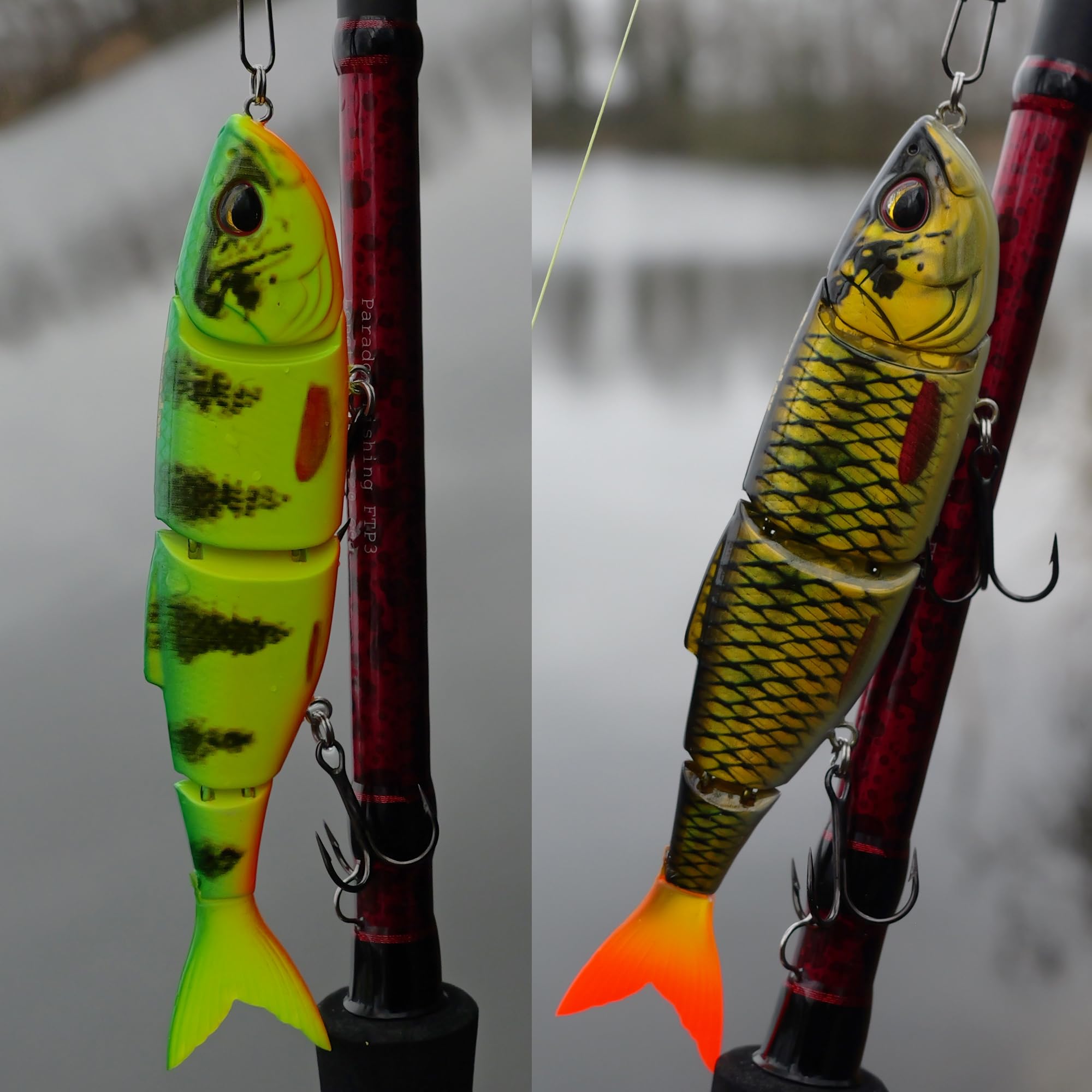 Paradox Fishing Premium Wobbler Sets für Hecht und Zander I 4 Stück mit Box I Hecht-Köder Zander-Köder Barschköder