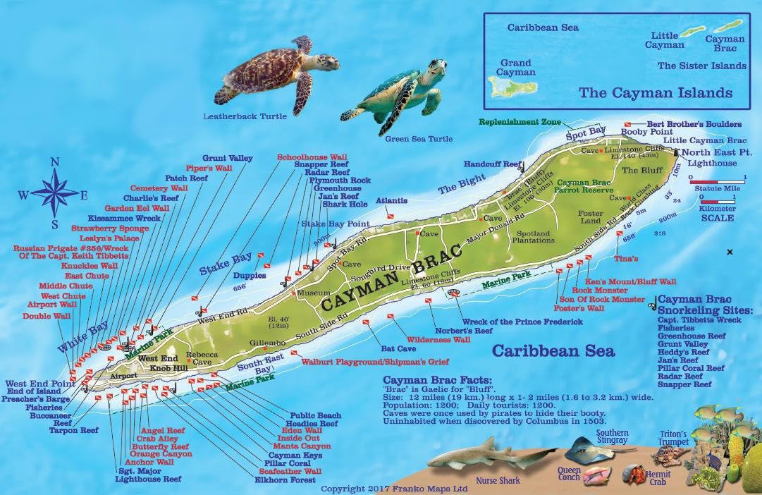 Cayman Brac Island Dive Map & Reef Creatures Waterproof Fish Card