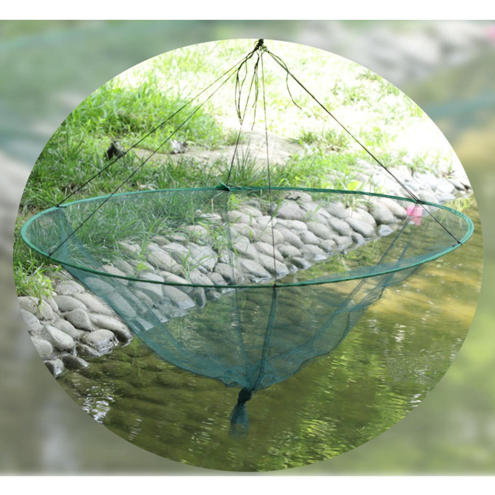 Moxic Crawfish Fishing Net Portable Foldable for Traveling Harbour Fishermen 80cm (B0C8NRZ3CM) Amazon Price History, Amazon Price Tracker