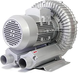 Regenerative Blower