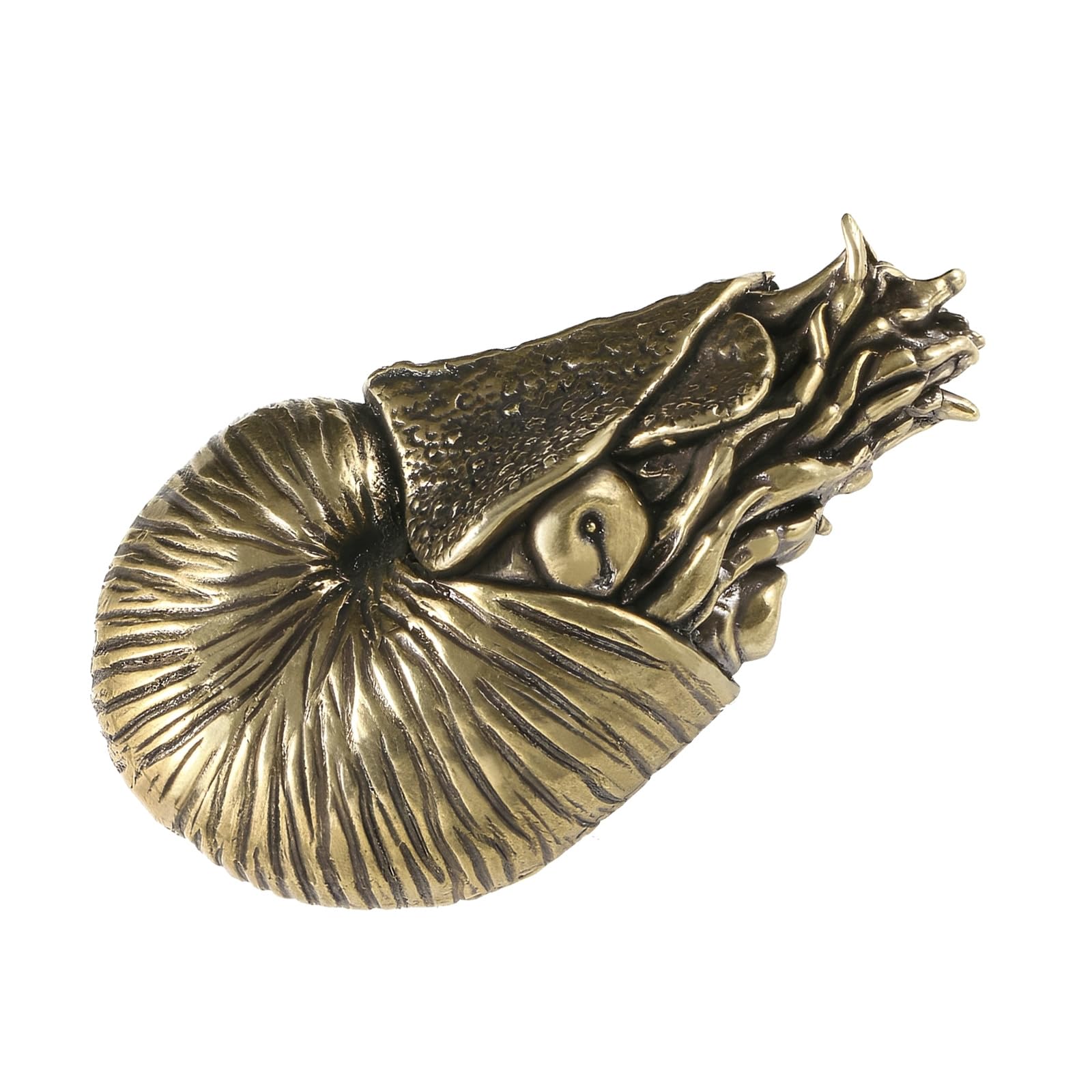 Figurine Naurilus animali in metallo Sculture Decorazioni per scaffali Accenti Centrotavola da tavolo Decorazioni per la casa Ornamento da tavolo