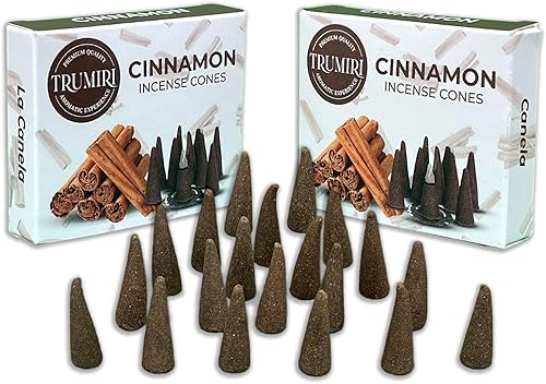Conos de incienso de canela, 20 conos de incienso en total, paquete doble de 10 conos de insencia, conos de incienso perfumados, aromas de incienso