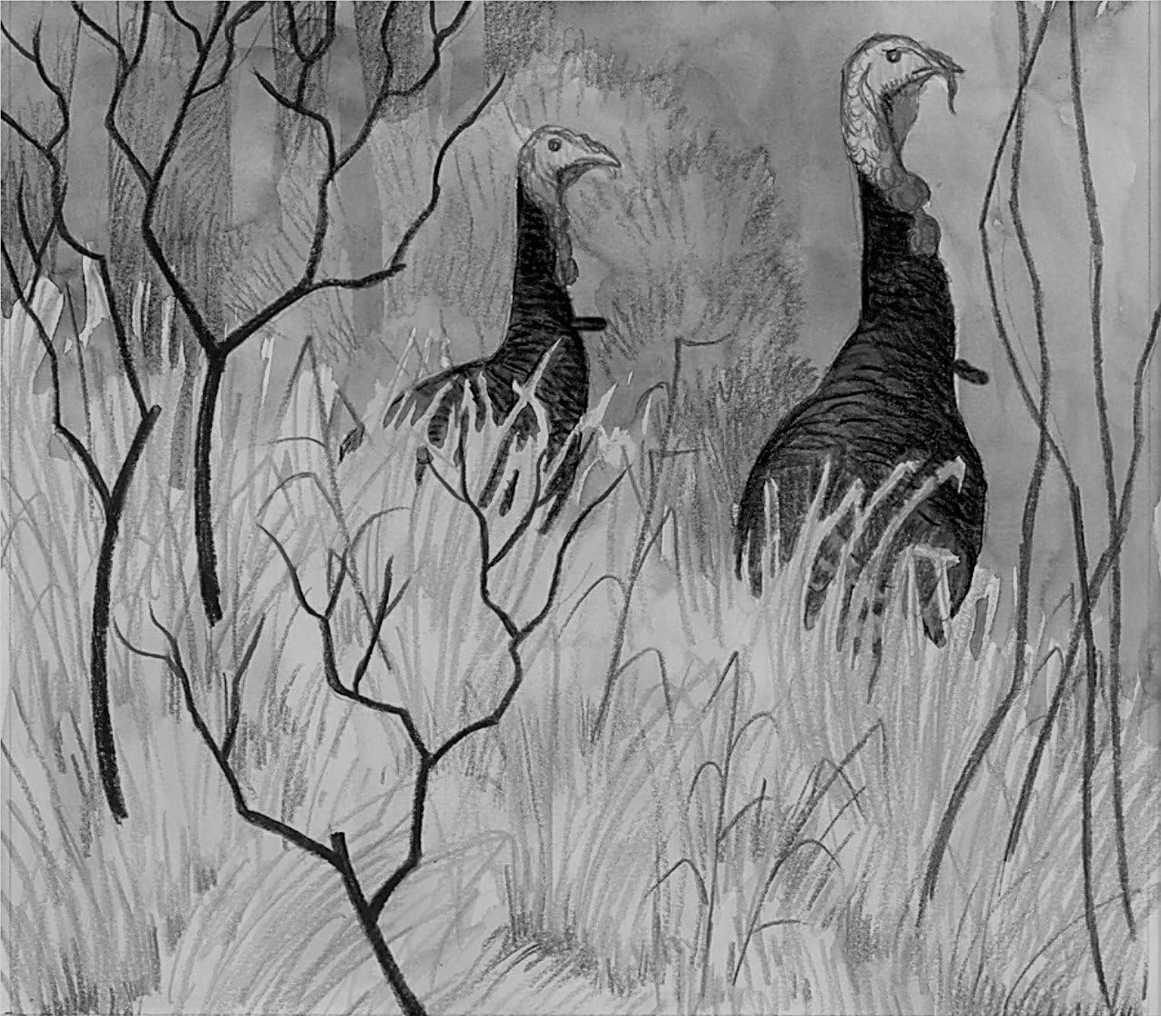 Winner, Winner, Turkey Dinner (Lucky Luke's Hunting Adventures, Vol. 4) - Image 7