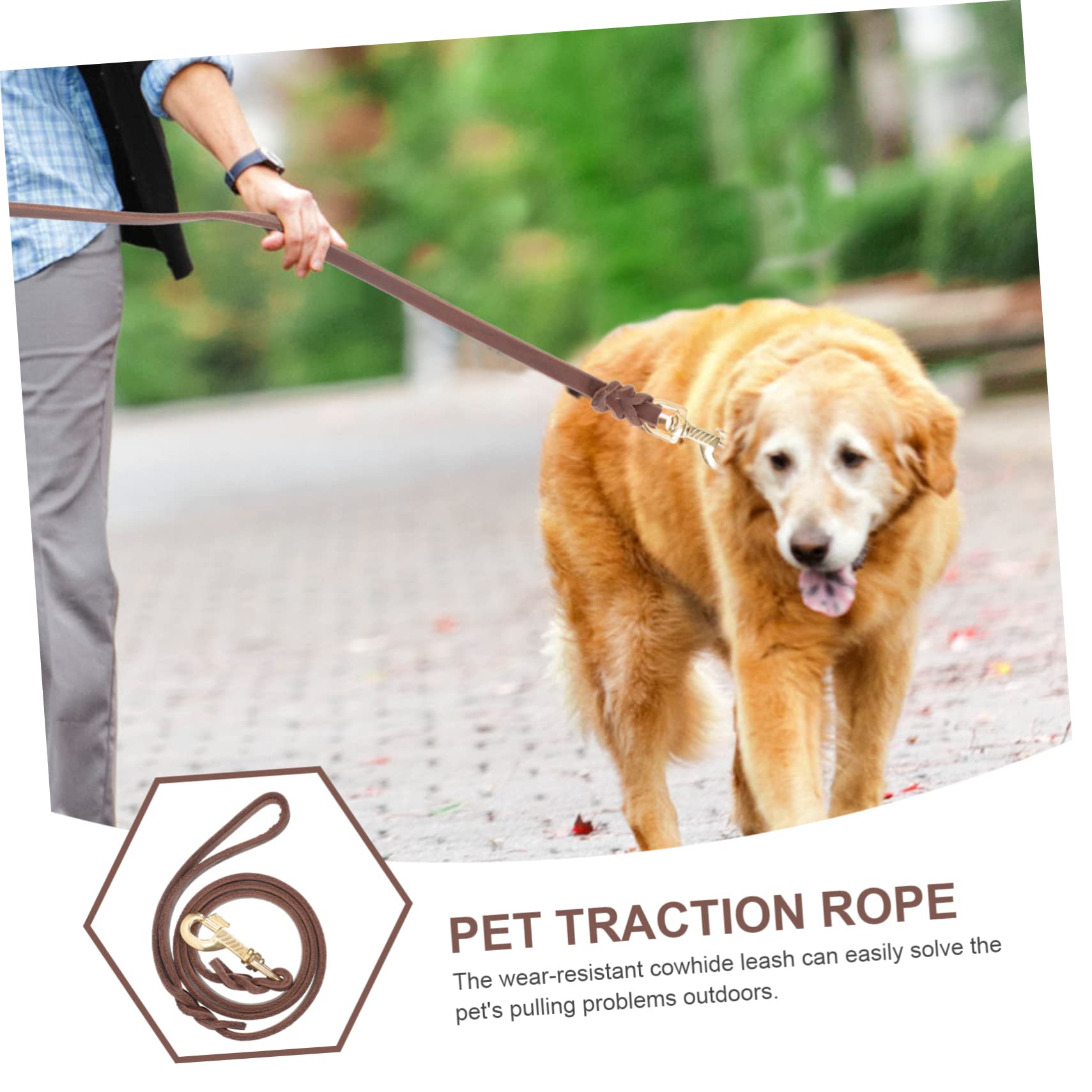 Kisangel 3pièces Laisse De Traction pour Chiens Corde pour Chiens De Moyenne à avec Idéale pour Promenades Sécurisées Et Confortables