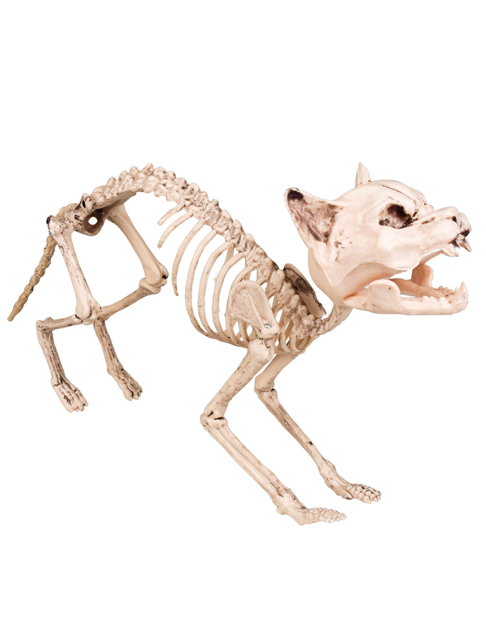Boland Skeleton Cat Decoration (60 cm)