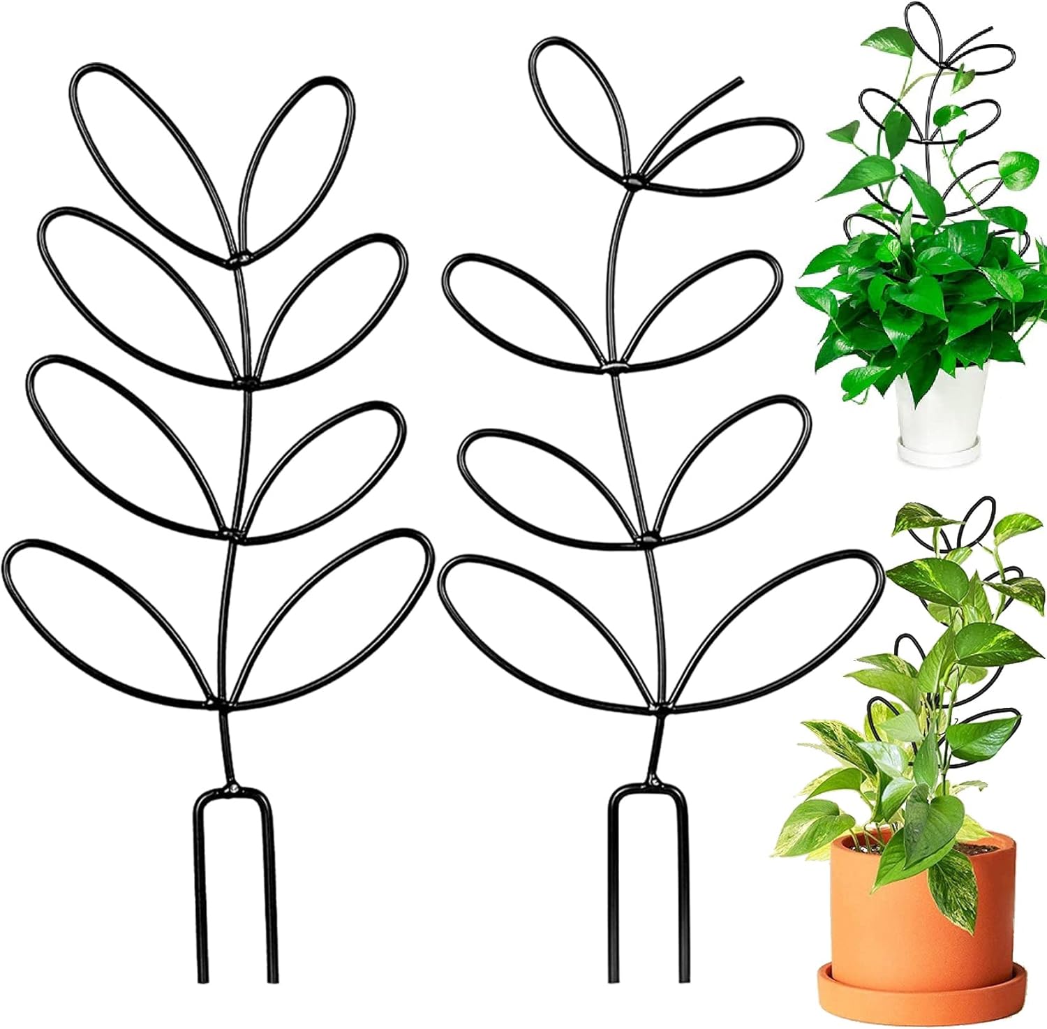 Origreen Indoor Plant Support, LeafShaped Trellis, Metal Wire Stake
