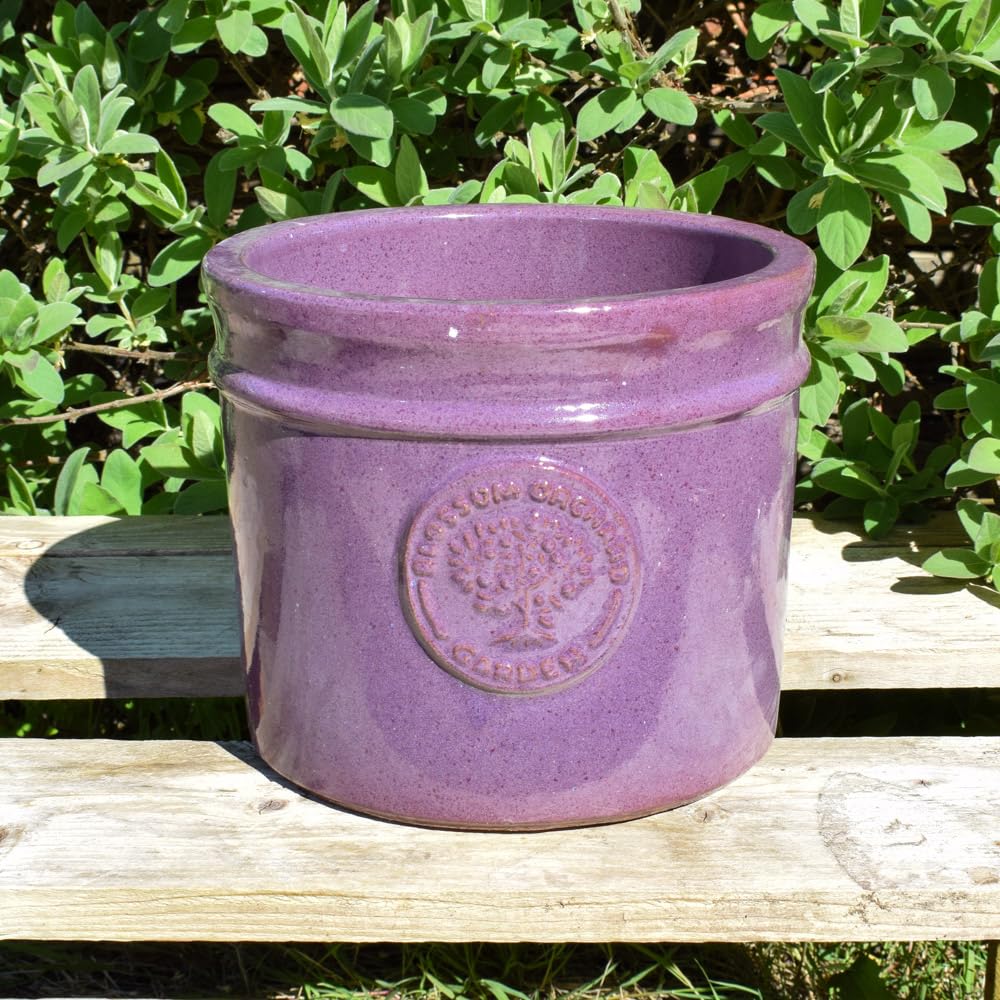 Bedwen Plants Glazed Cylinder Planter - Blossom Orchard (Plum Purple, Medium) - Indoor Outdoor Garden Pot