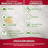 Ver la foto 4