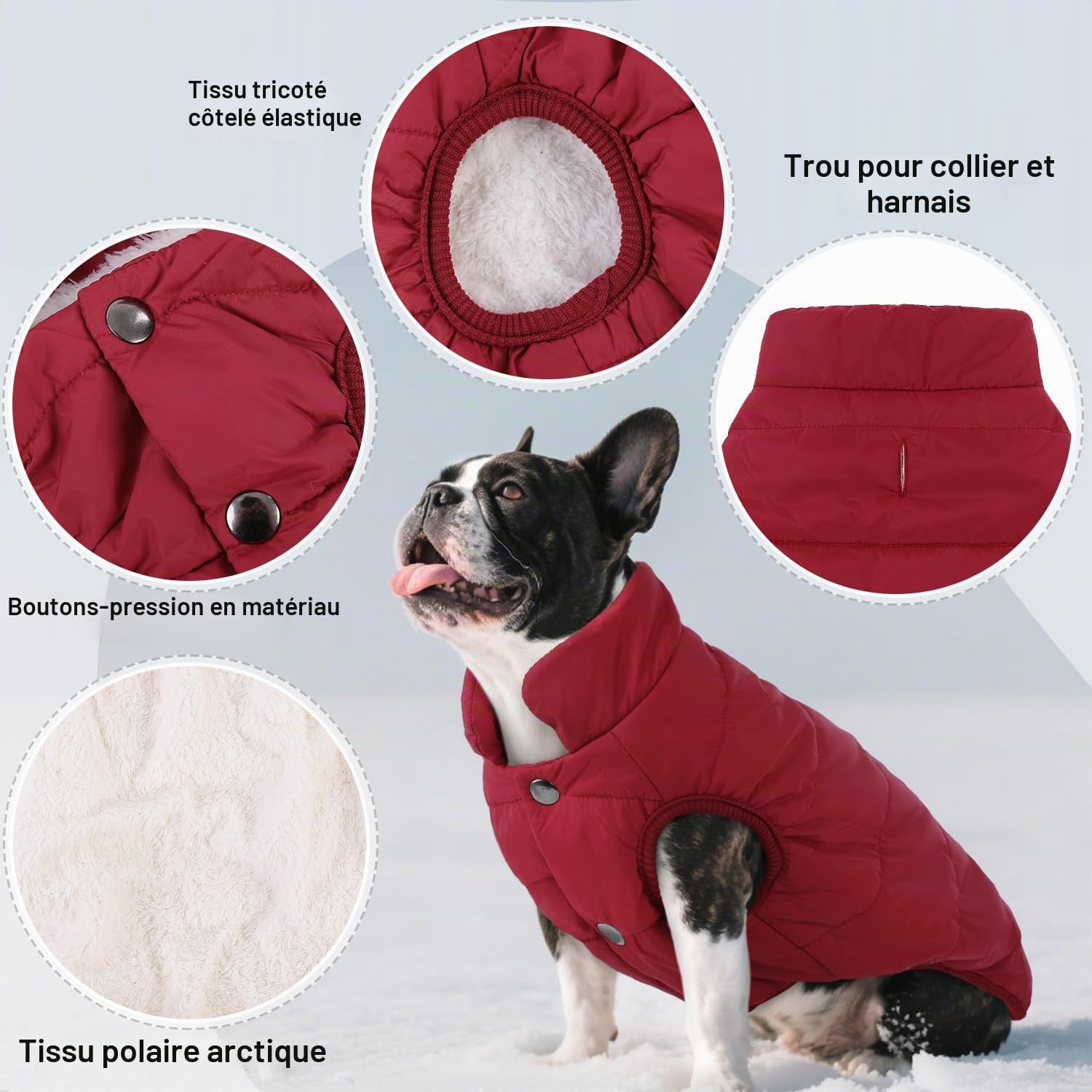 ASENKU Manteau Hiver pour Chien XS, Matelassé Doublure Polaire Arctique, Veste Chien Hiver Imperméable,Boutons-Pression & Ouverture Harnais, pour Caniche, Chihuahua, Promenade Ville, Neige et Pluie