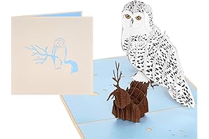 Pop Up 3D Owl Birthday Card with Blank Note