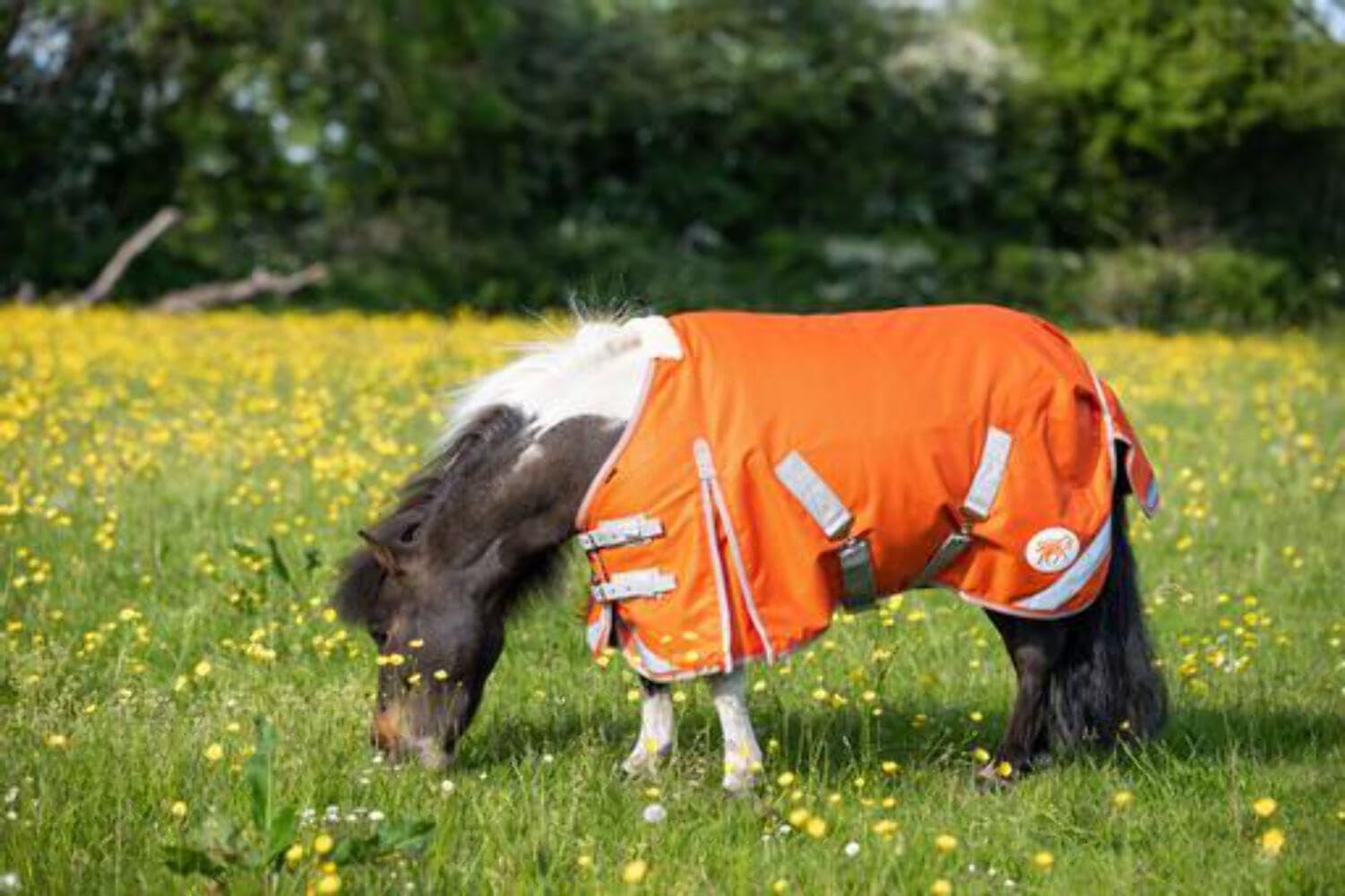 Swish Equestrian MINI 50g Turnout Rug - Orange