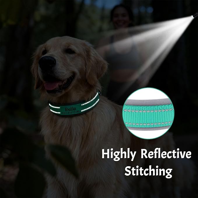 Collar Personalizado para Perro con Nombre y Teléfono miniatura 4