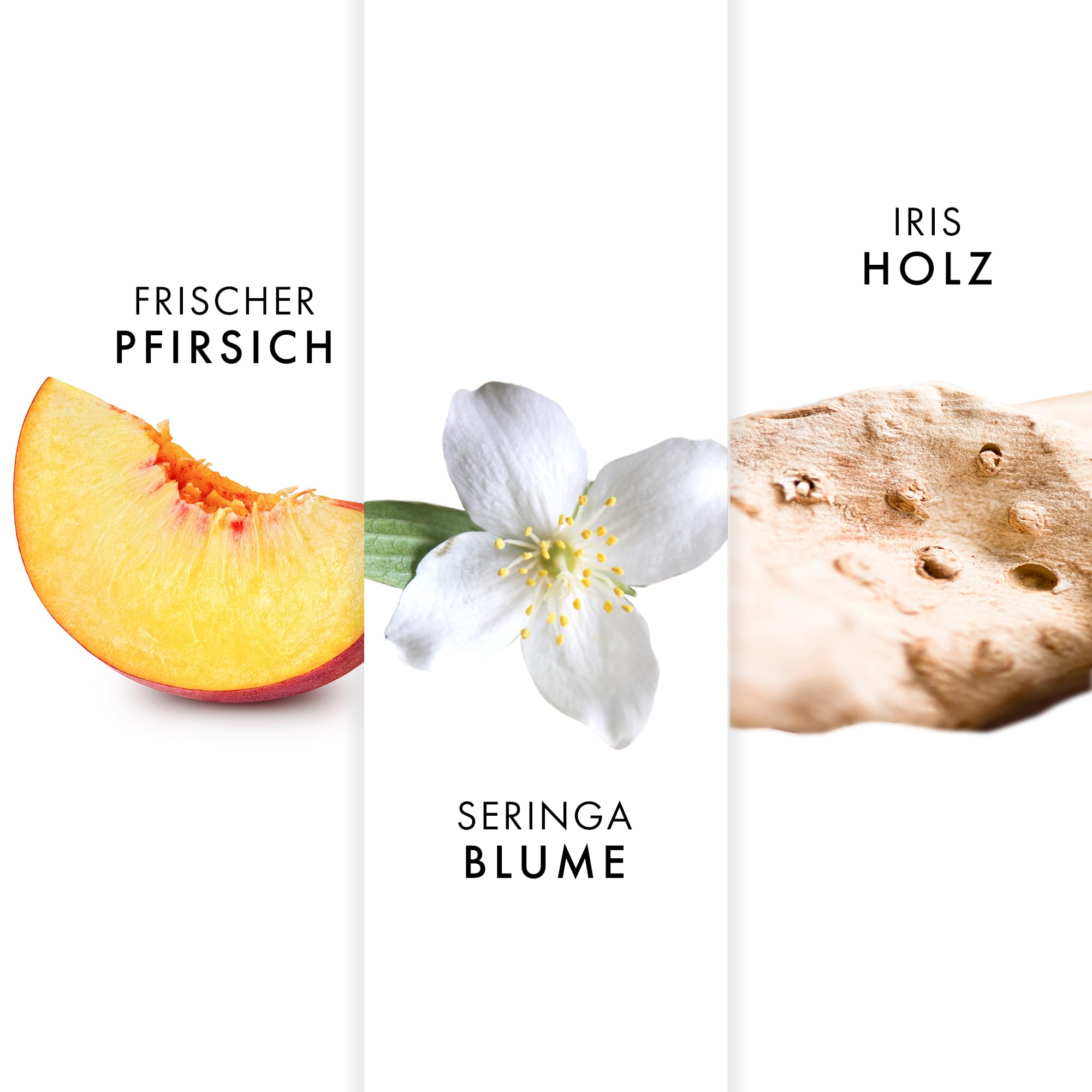 Azzaro Mademoiselle Eau de Toilette, femininer, fruchtig-blumiger Damenduft, elegantes Parfüm für Frauen
