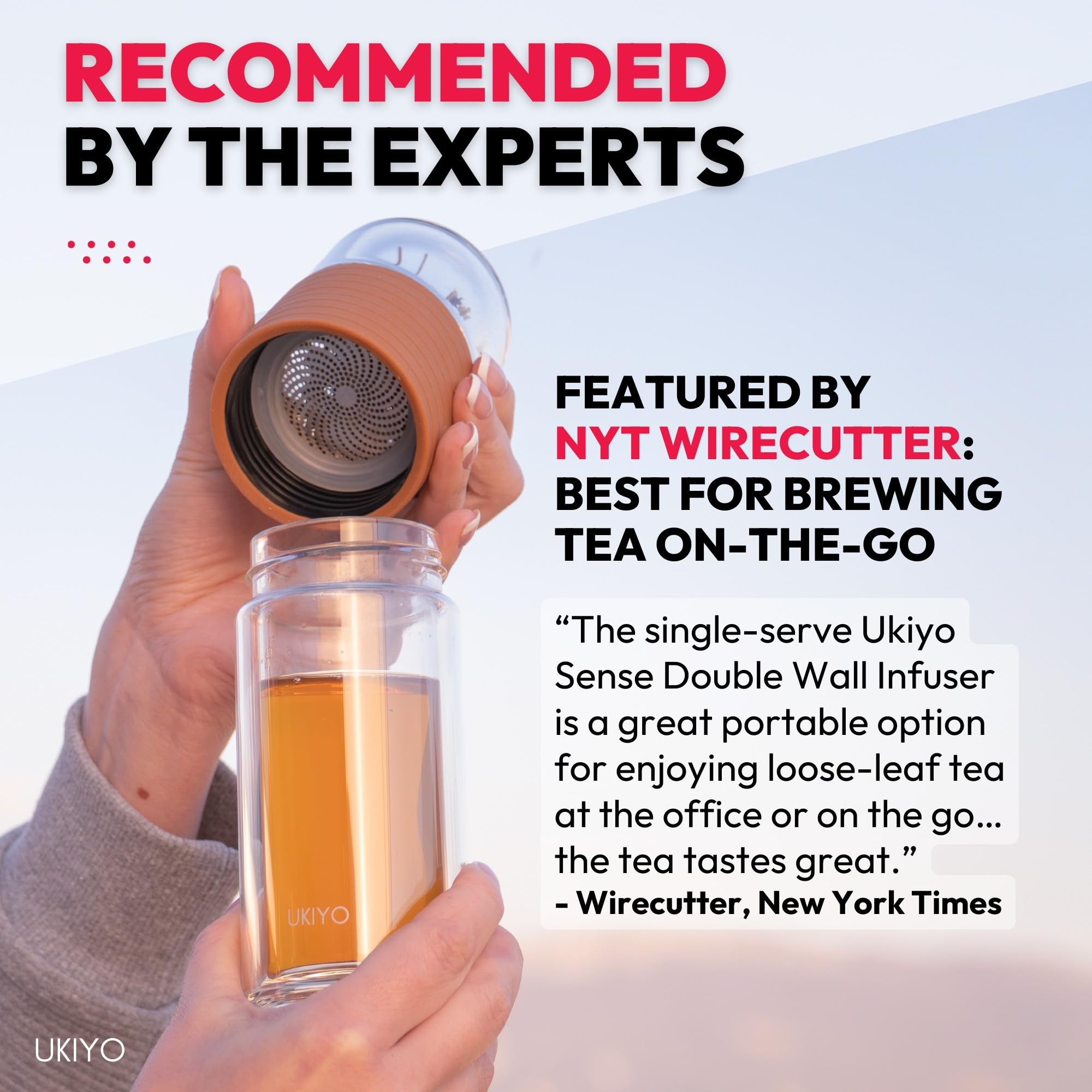Ukiyo Sense Botella infusora de té y frutas de vidrio de doble pared, vaso de viaje con filtro de acero inoxidable y funda de neopreno