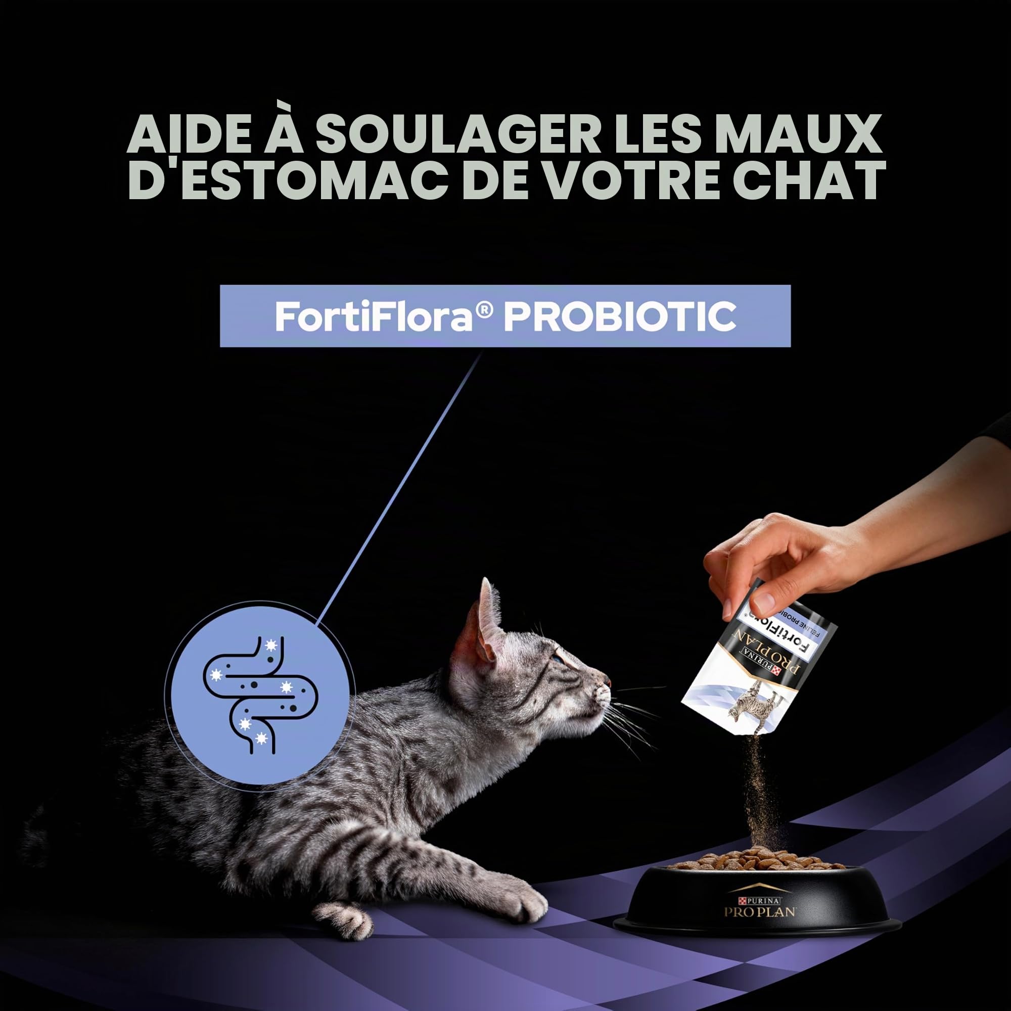 Pro Plan FortiFlora Sachet de probiotiques pour chat 30 x 1 g