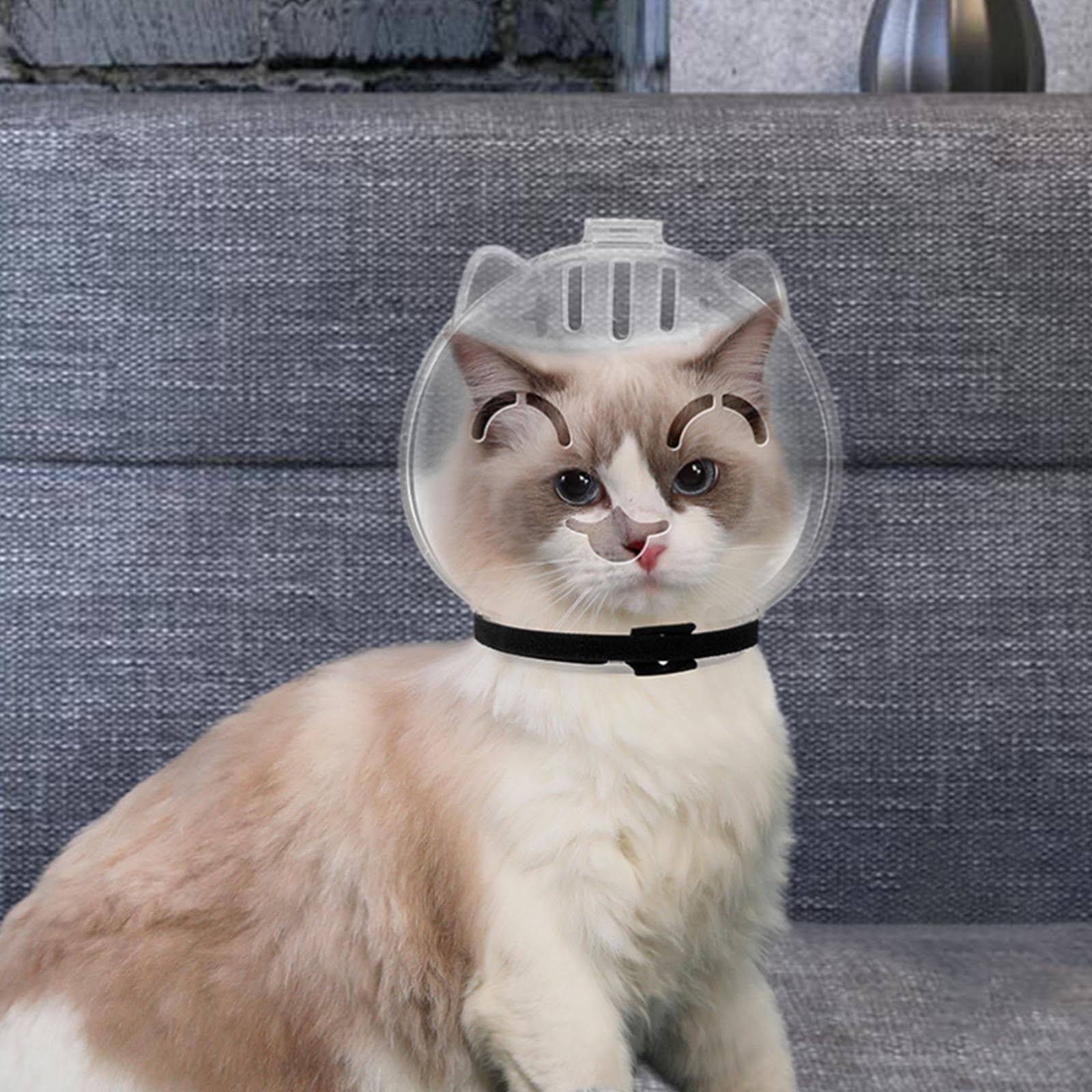 LOVIVER Bozal para Gato, protección, Capucha antilamer, Cubierta Transparente Ajustable para la Boca del Gato, para baño de Belleza, Suministros para