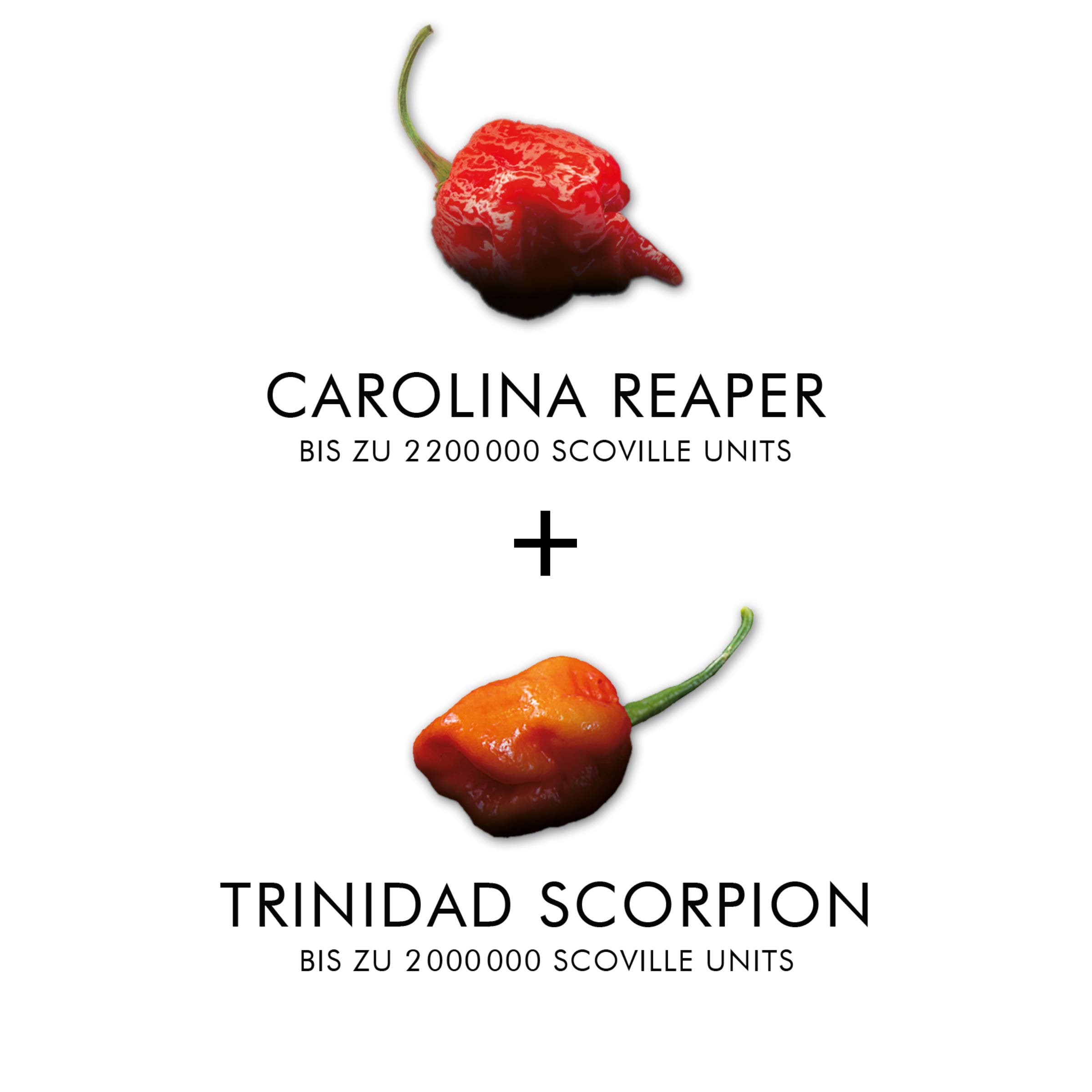 Scovilla 's Finest Brain Burner 100 ml | Salsa de chile extremadamente afilada con Trinidad Scorpion & Carolina Reaper | Salsa caliente