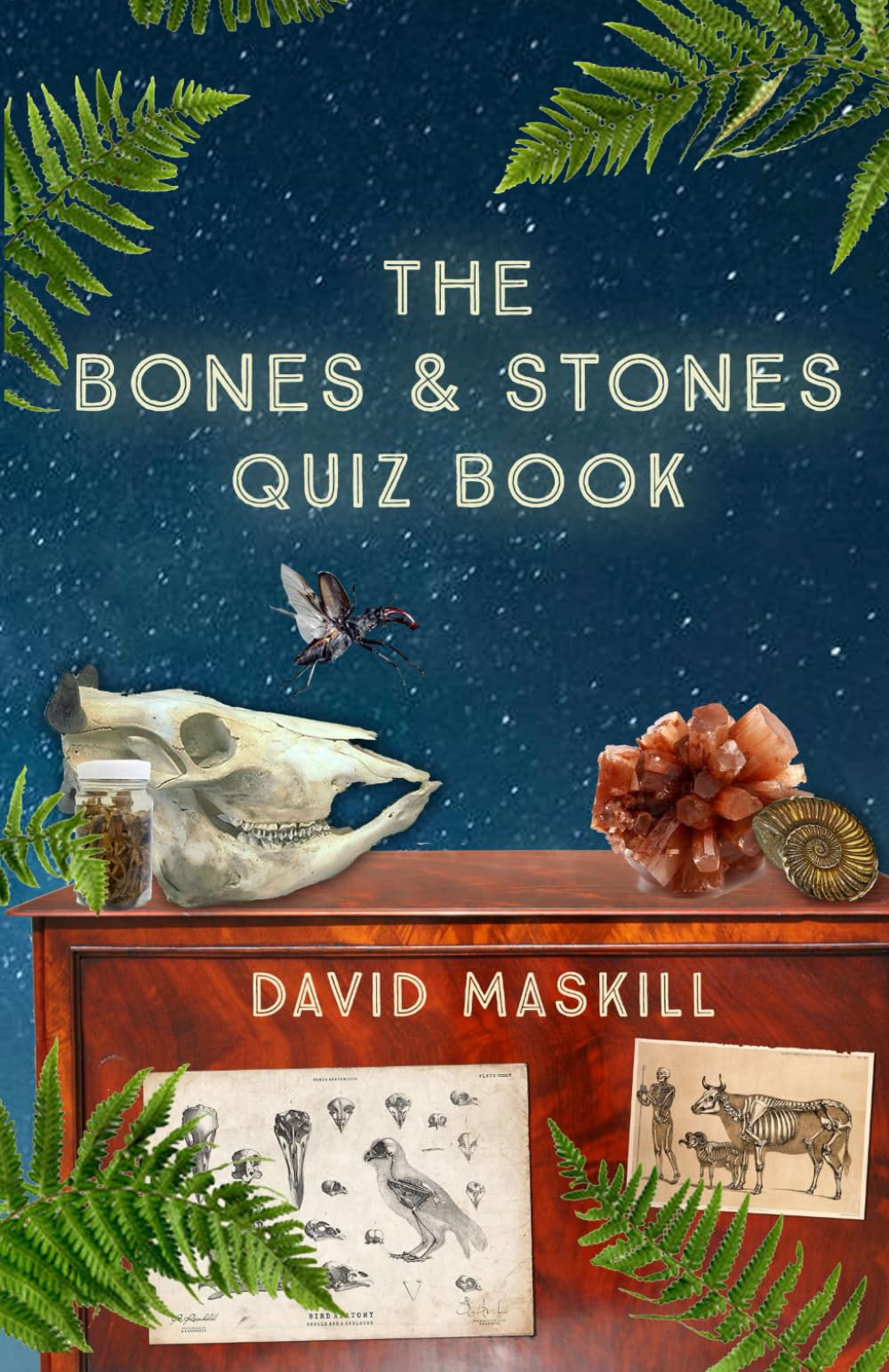 The Bones and Stones Quiz Book: 200 Questions on Natural History