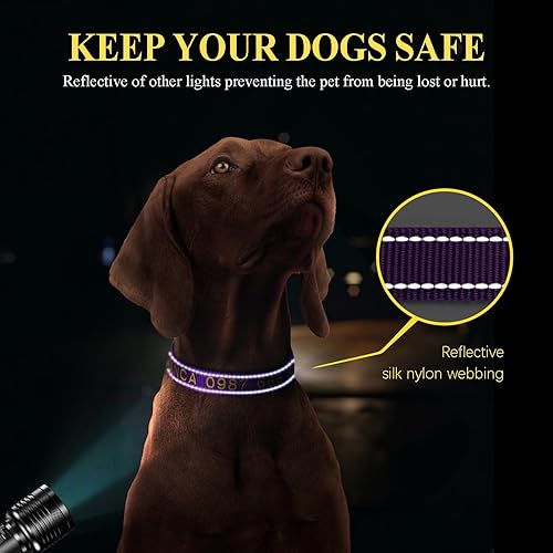 Miniatura 3 de Collares personalizados para perros, collar de perro bordado personalizado con nombre de mascota y número de teléfono, collar personalizado