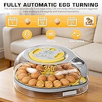 Vista 3 de Incubadora de 26 huevos para incubar huevos con guía de voz inteligente, vista de 360° con control automático de temperatura y humedad, giro