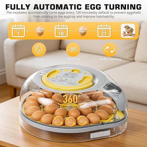 Miniatura 3 de Incubadora de 26 huevos para incubar huevos con guía de voz inteligente, vista de 360° con control automático de temperatura y humedad, giro