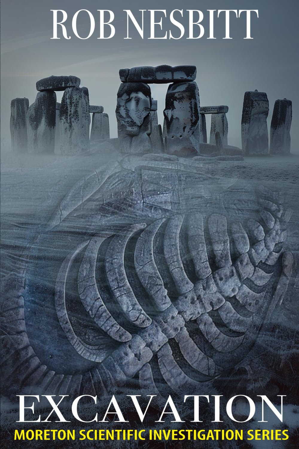 Excavation: Moreton Scientific Investigation Series