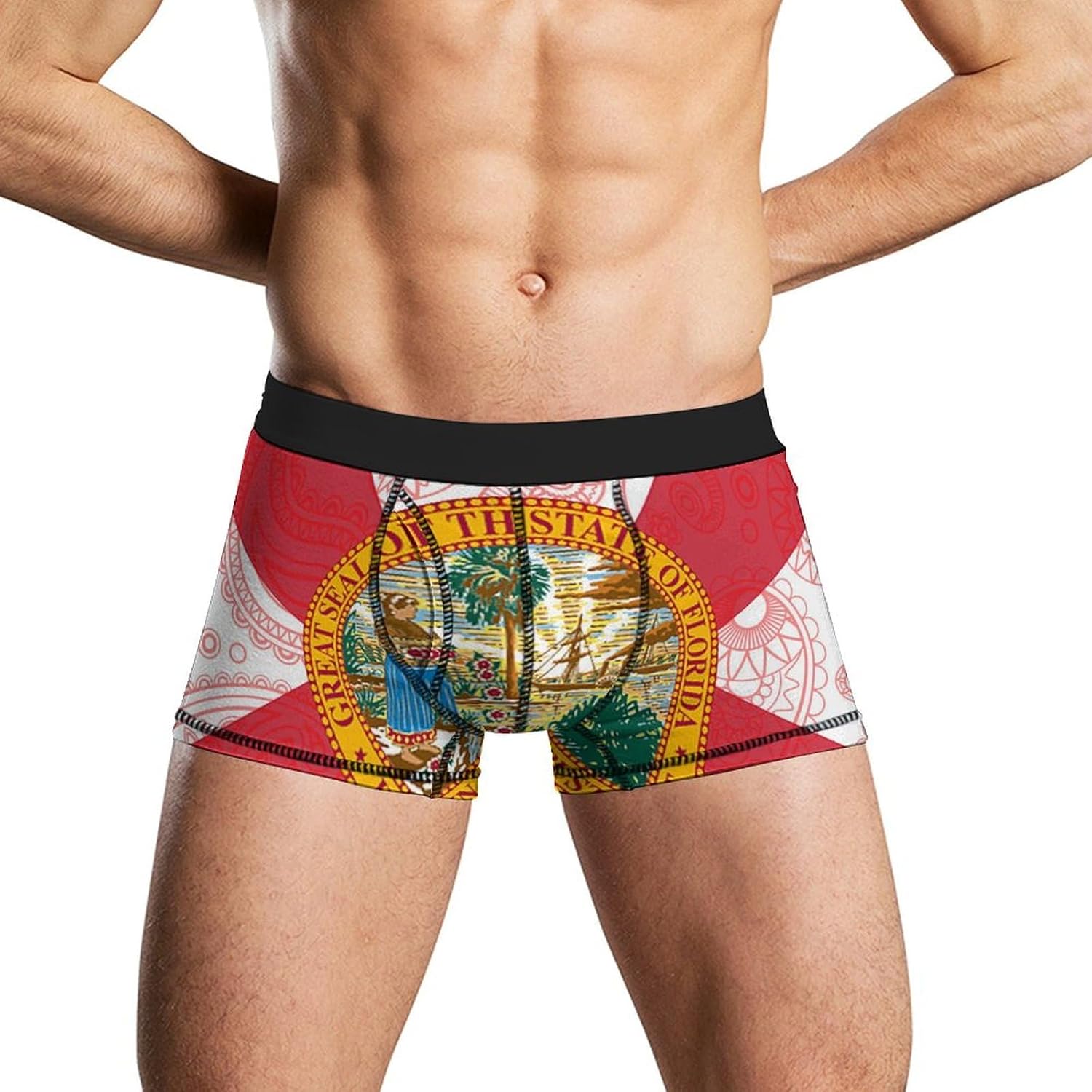 Florida State Flag Paisley Pattern Novelty Men's Trunks Soft Breathable Underwear Patterned Stretch Briefs
